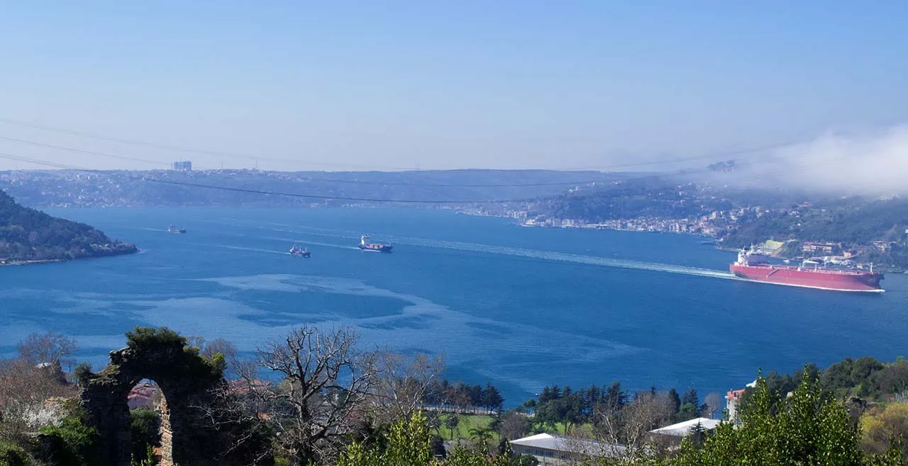 Marvels of Istanbul Tour with Bosphorus Cruise and Black Sea Cruise