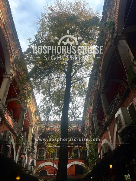 IIstanbul Walking Tour with Enchanting Bosphorus Sunset Cruise