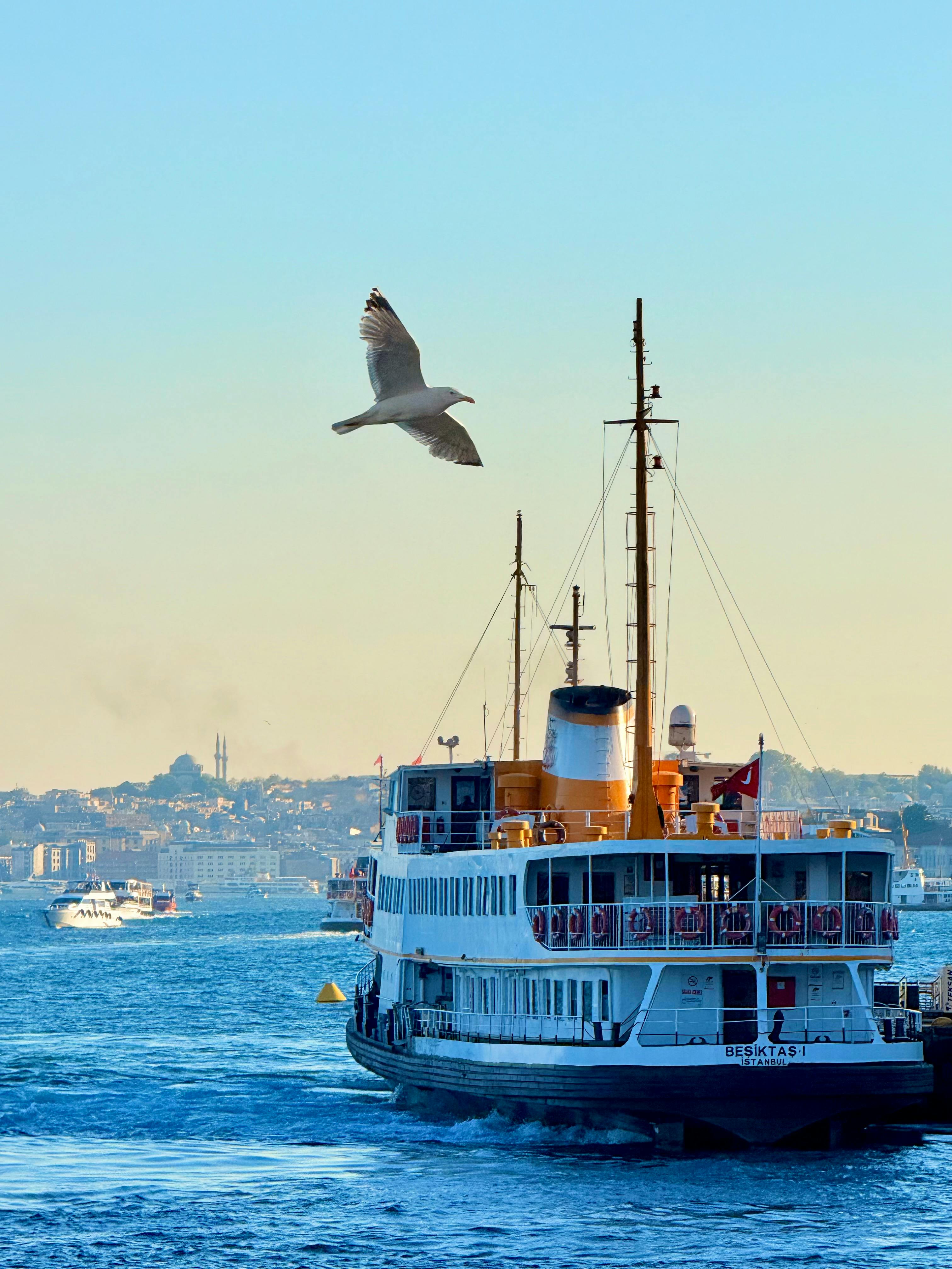 Istanbul Combo: Bosphorus Cruise and Classic City Tour